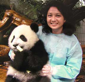 Dr Seto with a pand friend