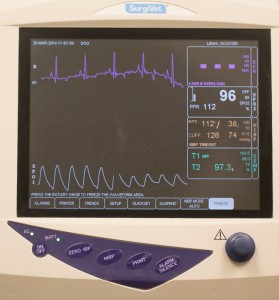 Anesthetic monitor showing heart and respiratory rates
