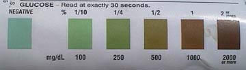 Chart on bottle to determine the amount of glucose in the urine