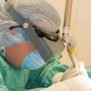 Dr. Ridgeway doing laser eye surgery on a guinea pig
