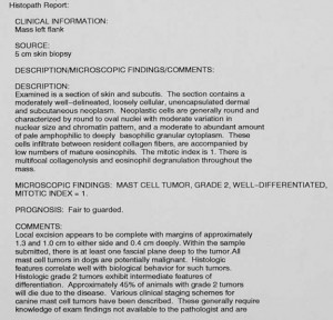 Report from pathologist