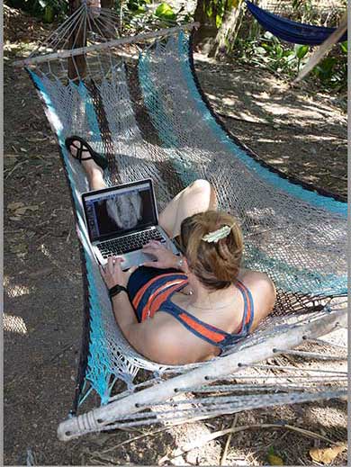 Veterinarian Reading A Radiograph While In a Hammock