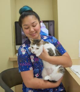 Cat Being Held by Staff