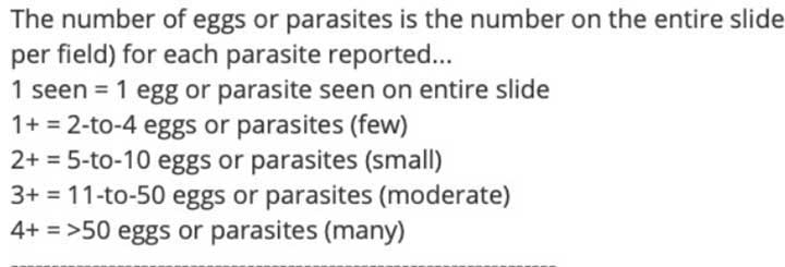 Ova and parasite report.