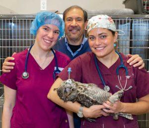 Photo of Dr. P and staff holding owl after eye surgery