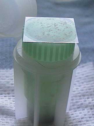 Fecal Cup with slide on top