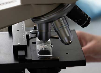 Microscope scanning a slide