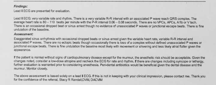 An EKG Report