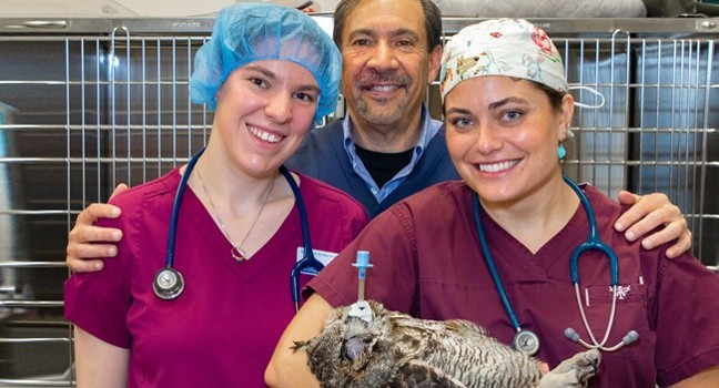 Long Beach Animal Hospital Wildlife care