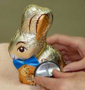 Listening to the Heart of a Chocolate Easter Bunny