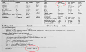 Elevated White Blood Cell Count Report