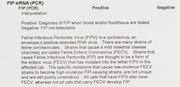 FIP PCR Positive Test Result