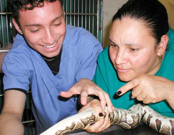 Nurses looking to find the heart of a snake