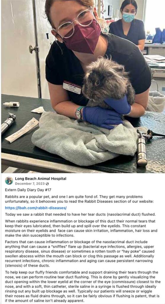 Student extern Facebook post