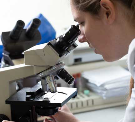 Using the microscope to look at a skin scraping.