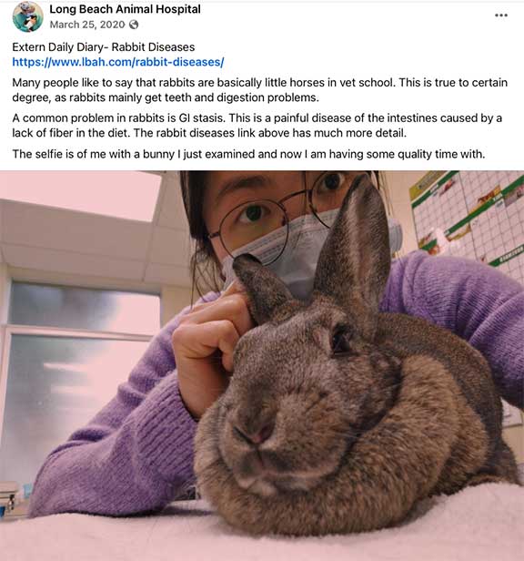 Student extern Facebook post