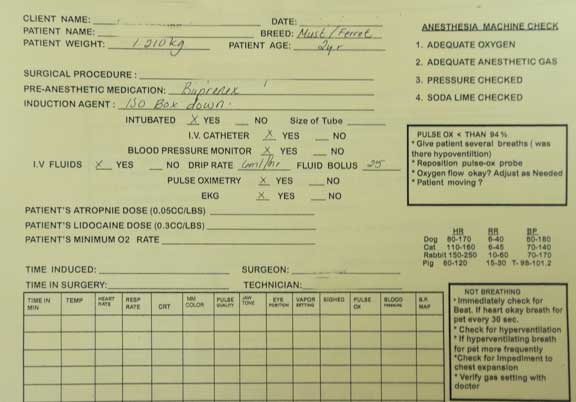Ferret anesthetic form.