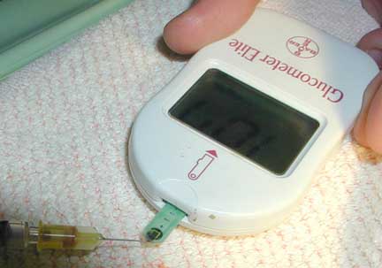 Checking ferrets blood glucose levels.