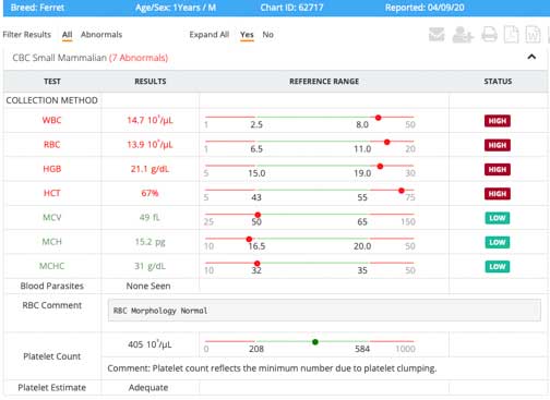 Ferret CBC showing normal red blood cells.