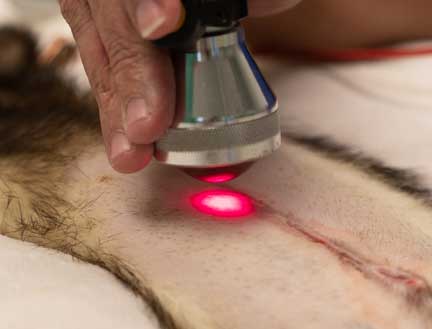 Laser probe on incision.