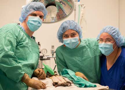 Surgical team looking at the camera.