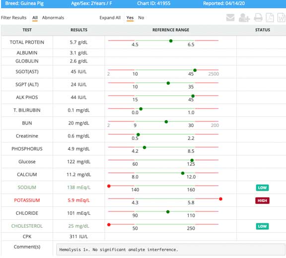 Guinea Pig blod panel report