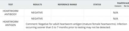 Heartworm antigen and antibody test