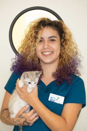 Staff holding kitten