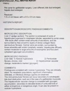Liver biopsy report from pathologist