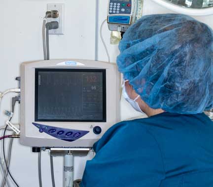 Nurse anesthetist watching anesthetic monitor