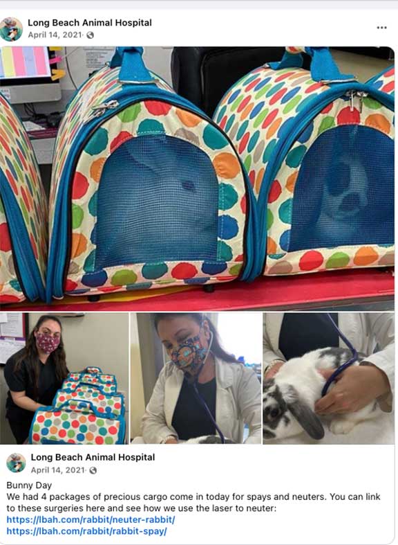 Rabbit Facebook post