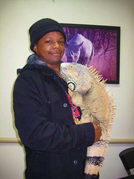 Owner holding a large male iguana