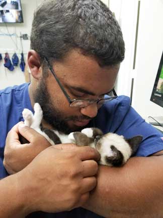 Nurse hugging kitten in arms