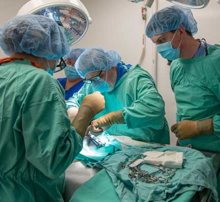 Long beach Animal Hospital ferret surgical team.