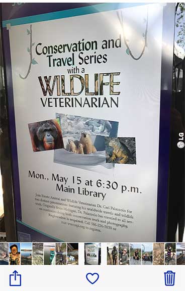 Wildlife presentation flyer