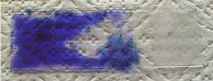 Purple stain on slide to help identify organisms