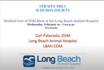 Title Slide to Dr. P's Audubon Presentation