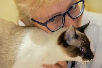 Dr. K enjoying some affection time with a patient