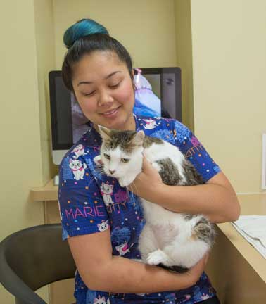 Nurse holding cat before an exam