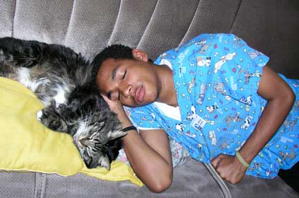 One of our employees taking a nap with one of our cat mascots