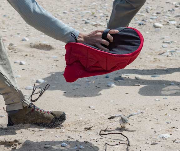 Capturing a piping plover