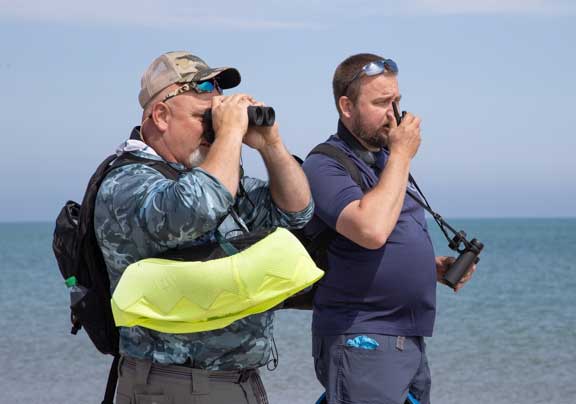 Scanning for piping plovers