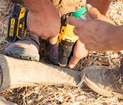Drilling hole in front horn for microchip