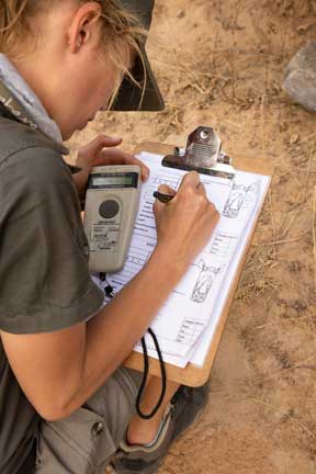 Recording microchip on paper