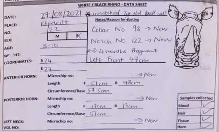 Details of info put into rhino data set