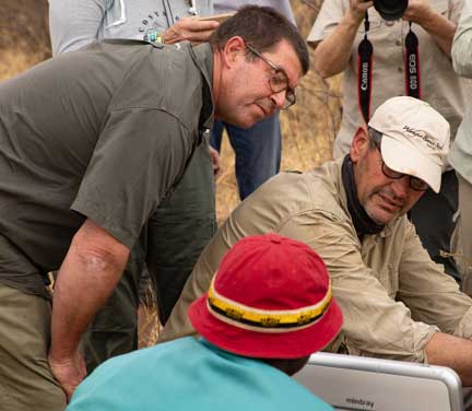 Vet team looking at ultrasound to determine if pregnant