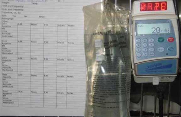 IV fluid bag hanging from IV machine.