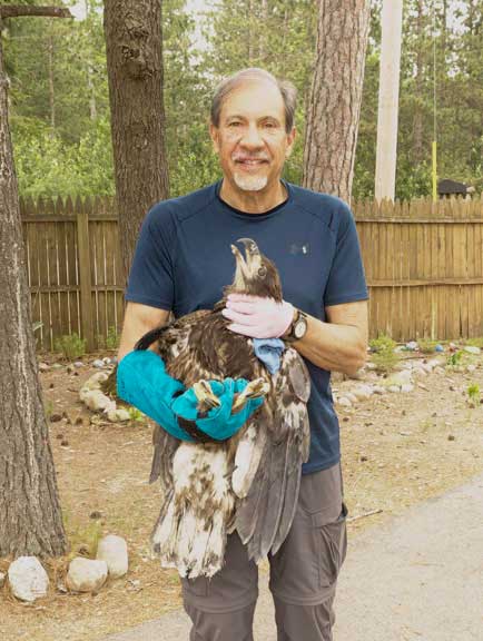 Dr. P examining a chick with lead toxicity